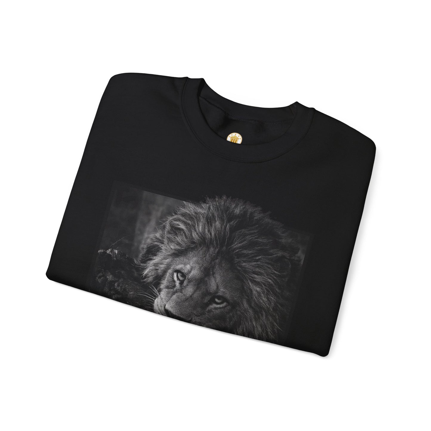 Apply Pressure Crewneck (Black) | House of Franklin